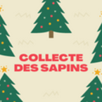 Collectes des sapins 